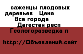 саженцы плодовых деревьев › Цена ­ 6 080 - Все города  »    . Дагестан респ.,Геологоразведка п.